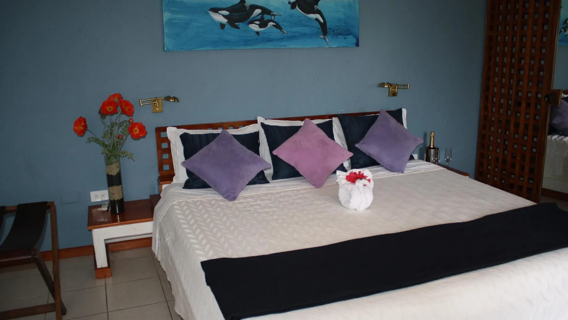 Hotel Silberstein Puerto Ayora  Puerto Ayora (Galapagos Islands)